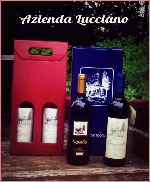 Agriturismo Lucciano San Casciano in Val di Pesa Bilik gambar