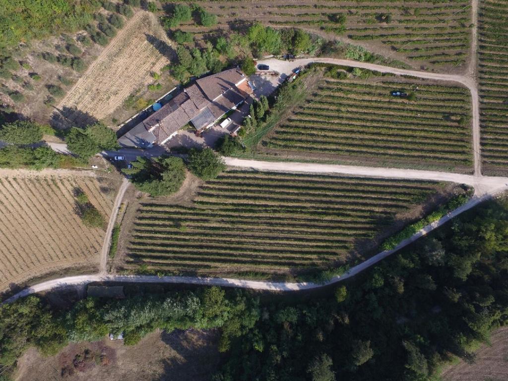 Agriturismo Lucciano San Casciano in Val di Pesa Luaran gambar
